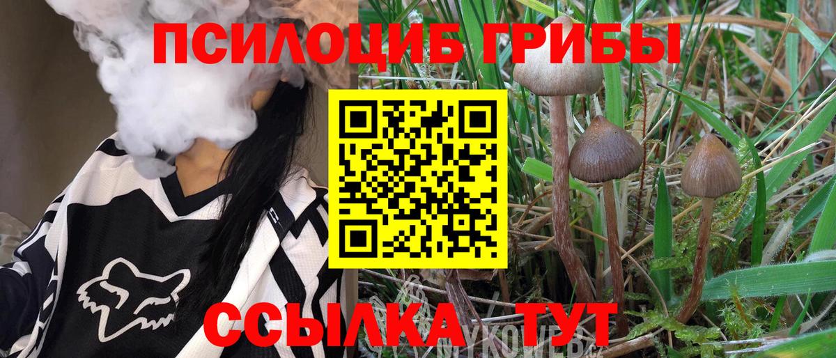 Галлюциногенные грибы Magic Shrooms Воронеж