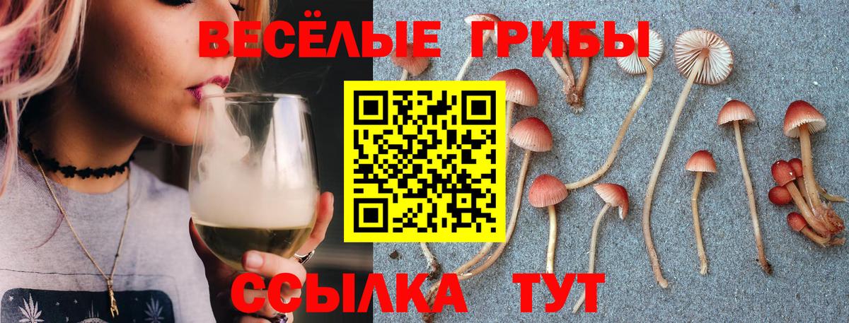 Псилоцибиновые грибы Psilocybine cubensis  Вход с VPN  Воронеж 